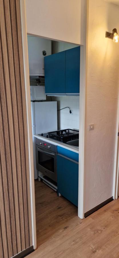 Appartement Saint Lary - Pla D'Adet - Aux Pieds Des Pistes 외부 사진